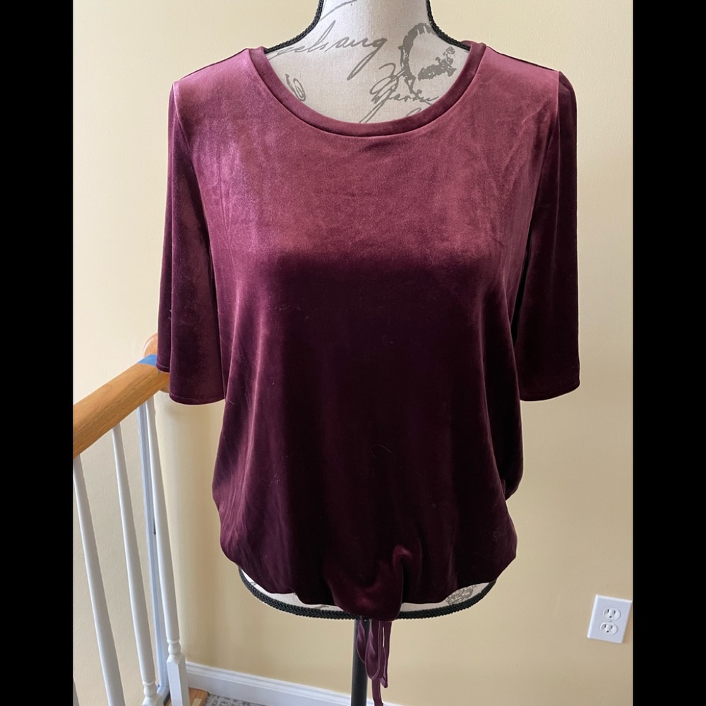 Loft velvet top with elasticized waist and elbow relaxed sleeve